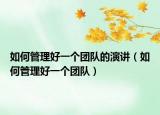 如何管理好一个团队的演讲（如何管理好一个团队）