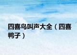 四喜鸟叫声大全（四喜鸭子）