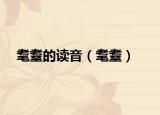 耄耋的读音（耄耋）