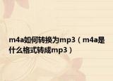 m4a如何转换为mp3（m4a是什么格式转成mp3）