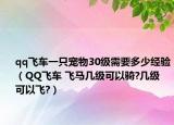 qq飞车一只宠物30级需要多少经验（QQ飞车 飞马几级可以骑?几级 可以飞?）