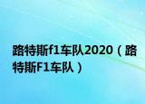 路特斯f1车队2020（路特斯F1车队）