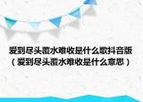 爱到尽头覆水难收是什么歌抖音版（爱到尽头覆水难收是什么意思）