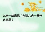 九合一啥意思（台湾九合一是什么意思）