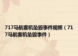 717马航客机坠毁事件视频（717马航客机坠毁事件）