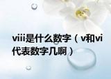 viii是什么数字（v和vi代表数字几啊）