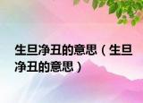 生旦净丑的意思（生旦净丑的意思）