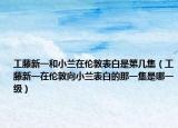 工藤新一和小兰在伦敦表白是第几集（工藤新一在伦敦向小兰表白的那一集是哪一级）