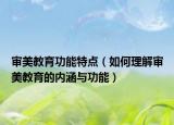 审美教育功能特点（如何理解审美教育的内涵与功能）