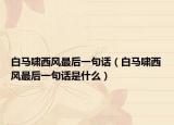 白马啸西风最后一句话（白马啸西风最后一句话是什么）