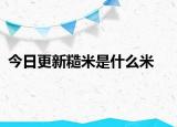 今日更新糙米是什么米