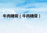 牛肉精膏（牛肉精膏）