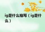 ig是什么缩写（ig是什么）