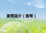 黄鹭简介（黄鹭）