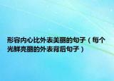 形容内心比外表美丽的句子（每个光鲜亮丽的外表背后句子）