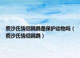 费沙氏情侣鹦鹉是保护动物吗（费沙氏情侣鹦鹉）