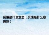 反馈是什么意思（反馈是什么意思啊）