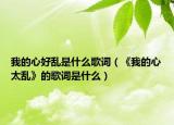 我的心好乱是什么歌词（《我的心太乱》的歌词是什么）