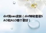 dnf真sao皮肤（dnf神秘套装SAO和ALO哪个更好）