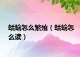 蛞蝓怎么繁殖（蛞蝓怎么读）