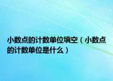 小数点的计数单位填空（小数点的计数单位是什么）