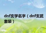 dnf玄学名字（dnf玄武套装）