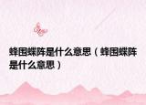 蜂围蝶阵是什么意思（蜂围蝶阵是什么意思）