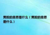 黄腔的意思是什么（黄腔的意思是什么）