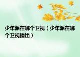 少年派在哪个卫视（少年派在哪个卫视播出）