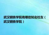 武汉钢铁学院有哪些知名校友（武汉钢铁学院）