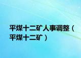 平煤十二矿人事调整（平煤十二矿）