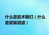 什么是武术散打（什么是武装泅渡）