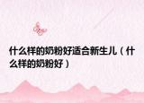 什么样的奶粉好适合新生儿（什么样的奶粉好）