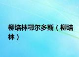 柳培林鄂尔多斯（柳培林）