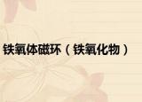 铁氧体磁环（铁氧化物）