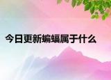 今日更新蝙蝠属于什么