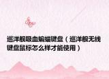 巡洋舰吸血蝙蝠键盘（巡洋舰无线键盘鼠标怎么样才能使用）