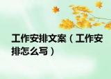 工作安排文案（工作安排怎么写）