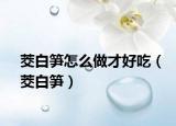 茭白笋怎么做才好吃（茭白笋）