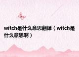 witch是什么意思翻译（witch是什么意思啊）