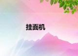 挂面机