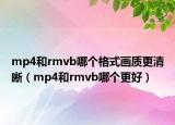mp4和rmvb哪个格式画质更清晰（mp4和rmvb哪个更好）