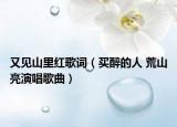 又见山里红歌词（买醉的人 荒山亮演唱歌曲）
