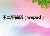 王二平简历（wepad）