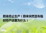 蔚来停止生产（蔚来突然宣布临时停产这是为什么）