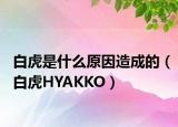 白虎是什么原因造成的（白虎HYAKKO）