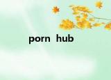 porn  hub