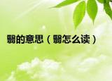 翳的意思（翳怎么读）