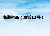 海獭智商（海獭11号）
