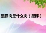 黑豚肉是什么肉（黑豚）